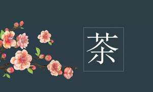 居然之家宜昌店业务部开展关于茶艺知识培训