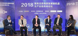 居然之家大兴店出席 “聚焦北京南部发展新机遇”主题论坛会